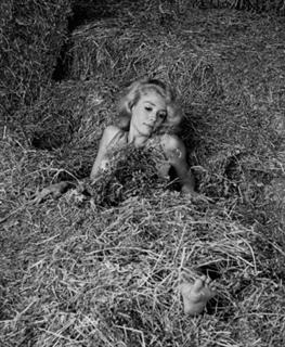 Inger Stevens feet photo 16