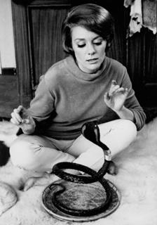Inger Stevens feet photo 15
