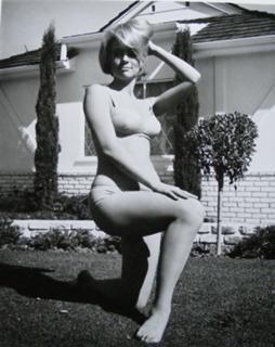 Inger Stevens feet photo 11