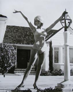 Inger Stevens feet photo 10