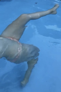 Ingrid Bisu feet photo 2