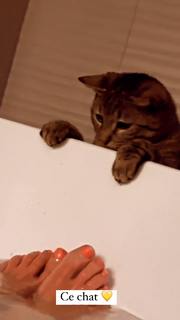 Ingrid Chauvin feet photo 20