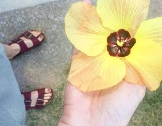 Ingrid García Jonsson feet photo 4