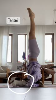 Ingrid Guimarães feet photo 15