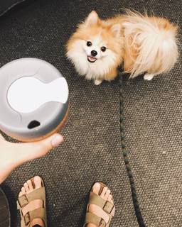 Ingrid Nilsen feet photo thumbnail