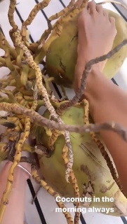 Inka Williams feet photo thumbnail