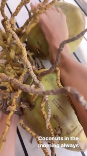 Inka Williams feet photo thumbnail