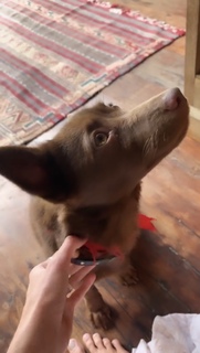 Inka Williams feet photo thumbnail