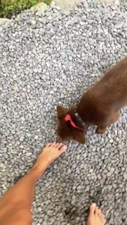 Inka Williams feet photo thumbnail