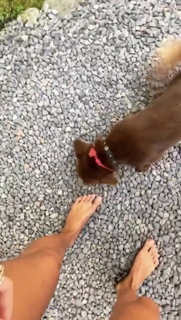 Inka Williams feet photo thumbnail