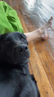 Inka Williams feet photo thumbnail