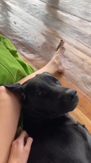 Inka Williams feet photo thumbnail