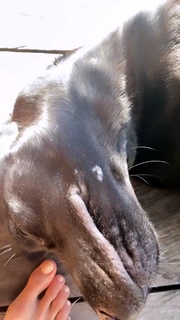 Inka Williams feet photo thumbnail