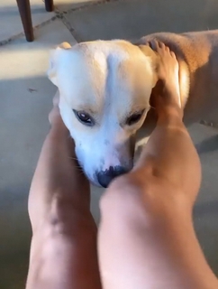 Inna feet photo thumbnail
