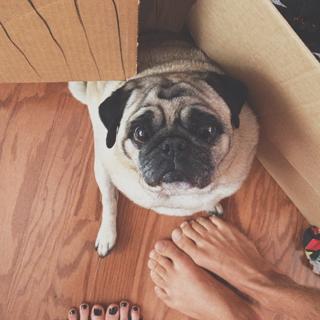 Ireland Baldwin feet photo thumbnail