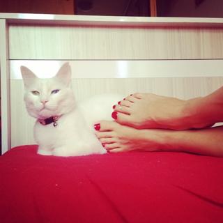 Irem Altug feet photo 8