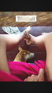 Irena Ponaroshku feet photo thumbnail