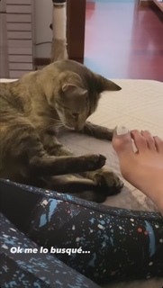 Irene Aldana feet photo 12