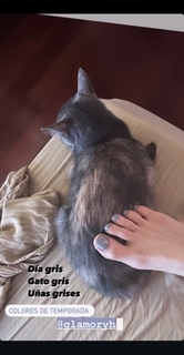 Irene Aldana feet photo 2