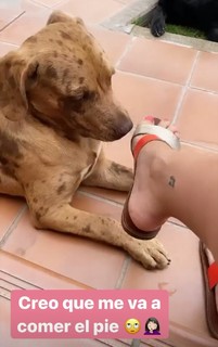 Irene Junquera feet photo thumbnail