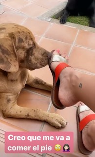Irene Junquera feet photo thumbnail