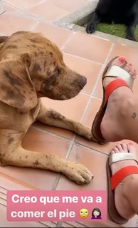 Irene Junquera feet photo thumbnail