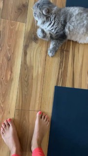 Irene Junquera feet photo thumbnail