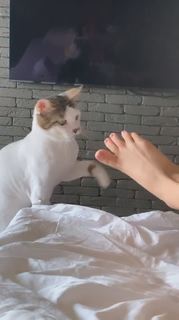 Irina Rimes feet photo 2