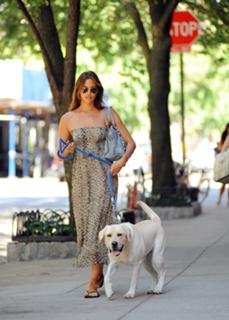 Irina Shayk feet photo thumbnail