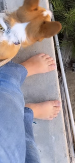 Isabel Brown feet photo 3