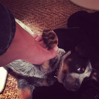 Isabel Macedo feet photo 10