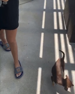 Isabela Merced feet photo thumbnail