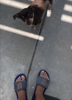 Isabela Merced feet photo thumbnail