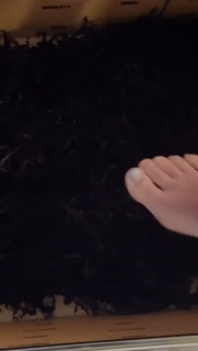 Isabela Merced feet photo thumbnail