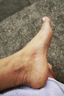 Isabela Pagliari feet photo 12