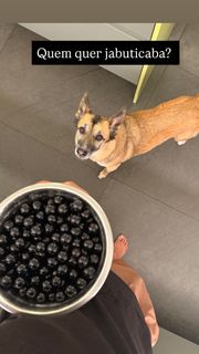 Isabella Fiorentino feet photo thumbnail