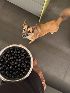 Isabella Fiorentino feet photo thumbnail