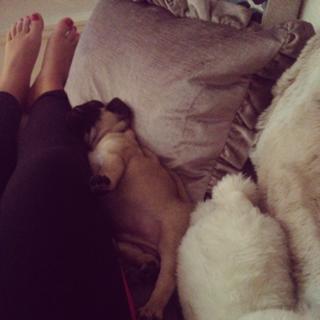 Isabella Löwengrip feet photo 17