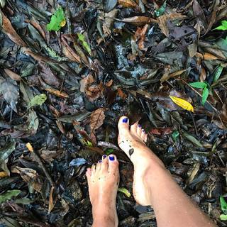 Isabella Santoni feet photo thumbnail