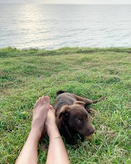 Isabelle Cornish feet photo 8