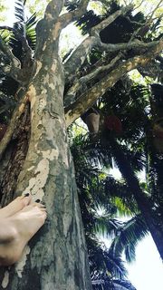 Isabelle Drummond feet photo thumbnail