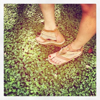 Isabelle Ithurburu feet photo 4