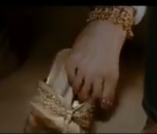 Isha Koppikar feet photo 20
