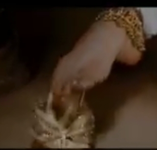 Isha Koppikar feet photo 19