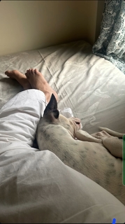 Isha Talwar feet photo thumbnail