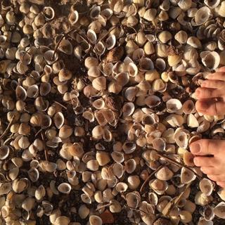 Isis Valverde feet photo thumbnail