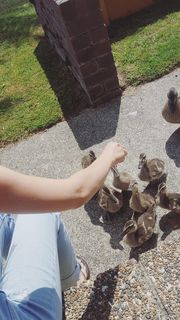 Ivana Baquero feet photo thumbnail