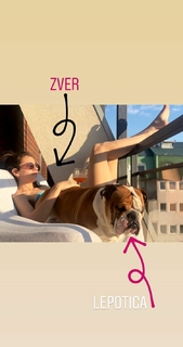 Ivana Dudić feet photo 11