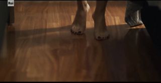 Ivana Lotito feet photo 1