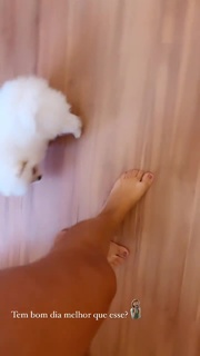 Ivy Moraes feet photo 5